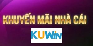 ảnh đại diện khuyến mãi tuần kuwin